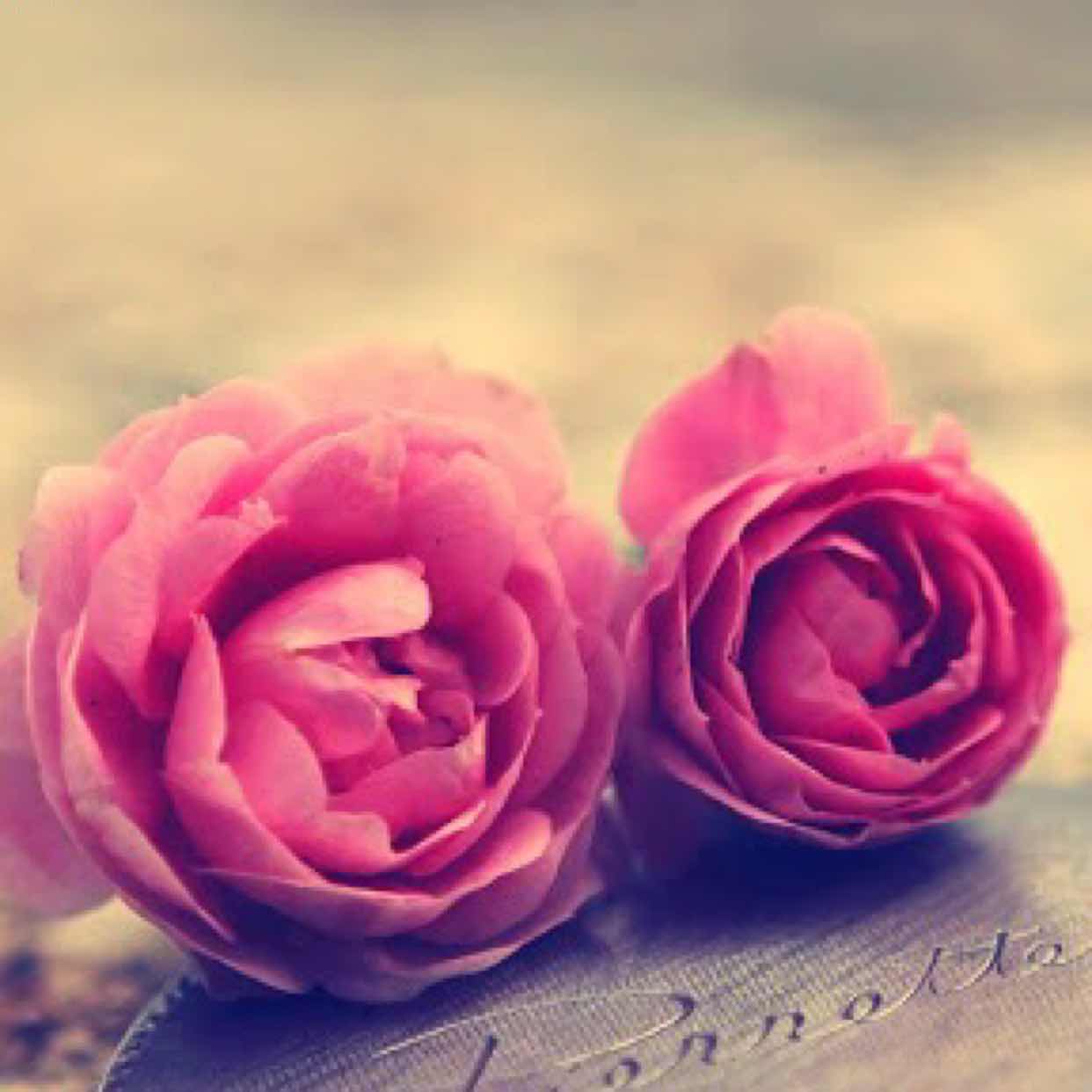 小雪🎀菲尔shop