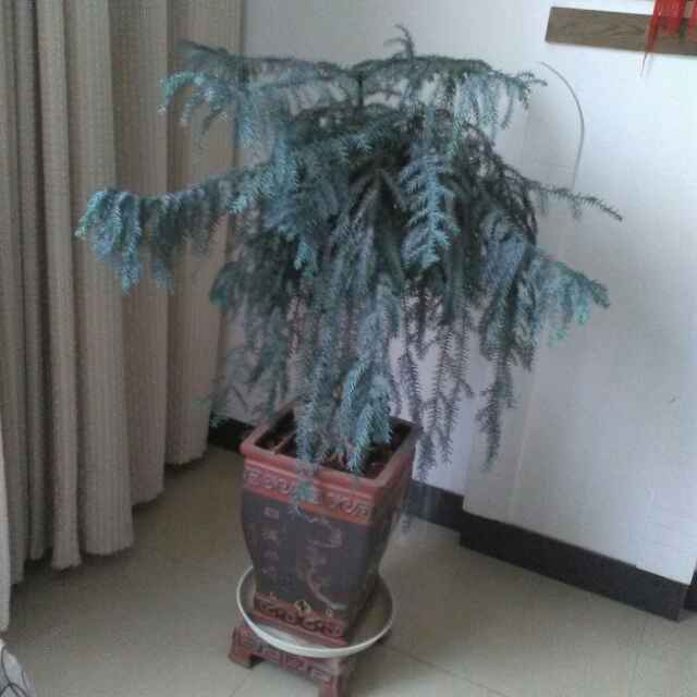 书友20160529225222