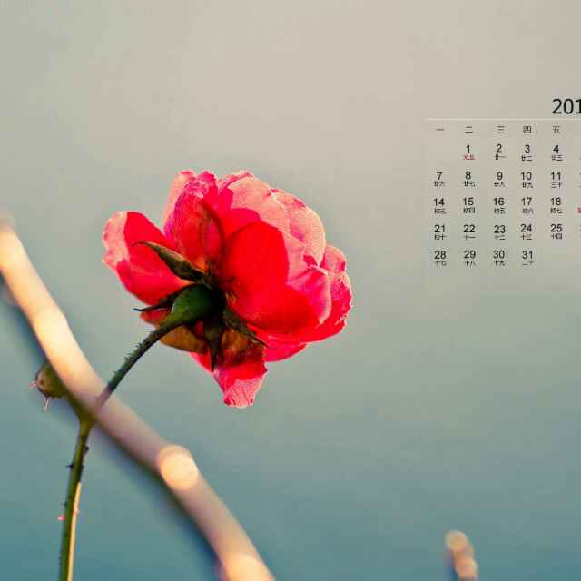 书友20160324231133