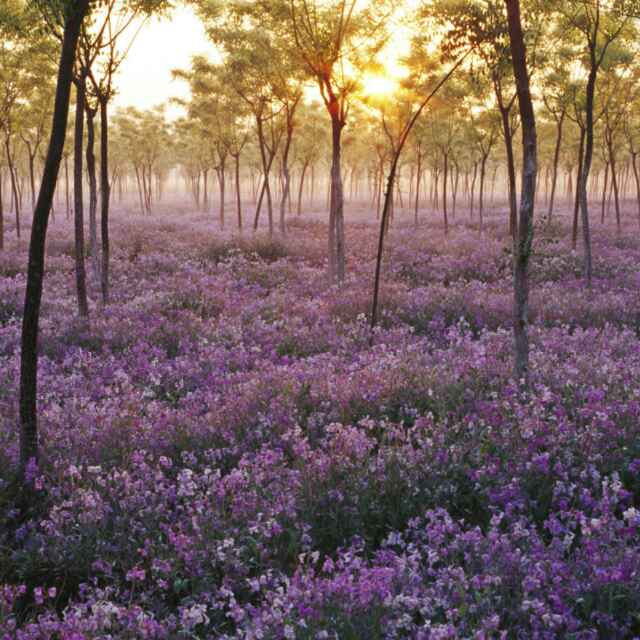 书友20170107132644