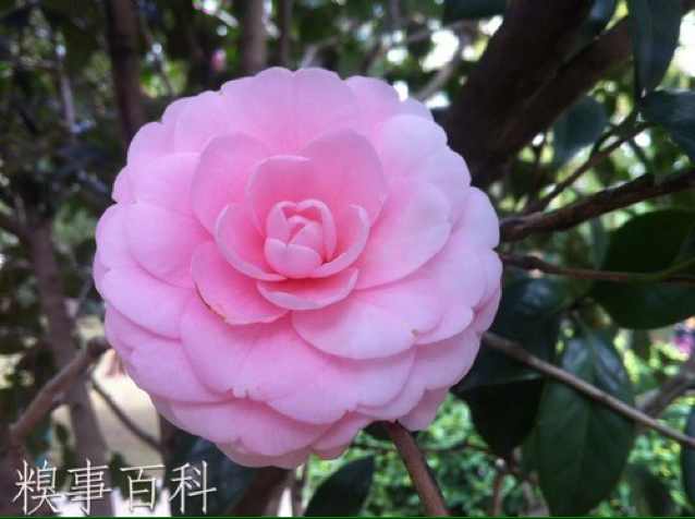 书友20161109140057