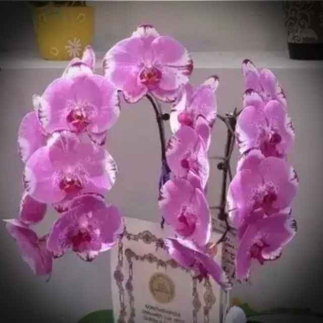 书友20160511080656