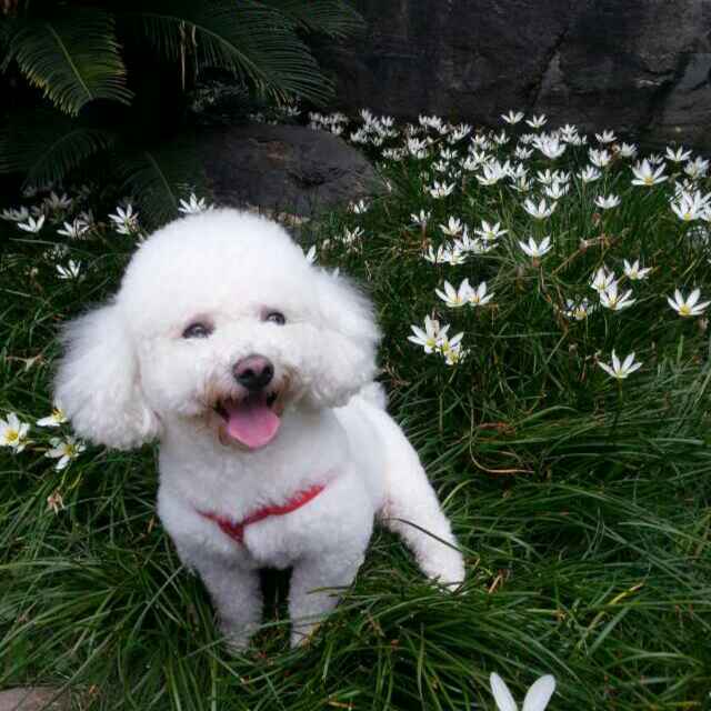 书友20160904123208