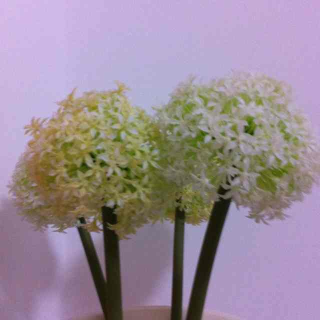 书友20160829193238