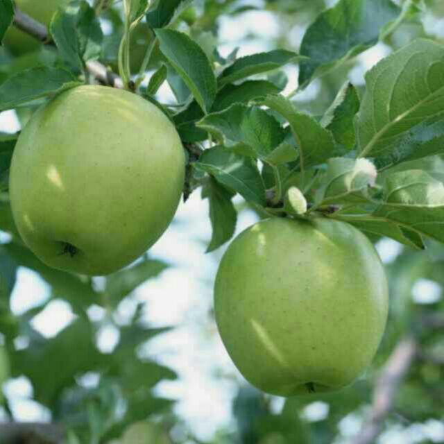 书友20170306164358