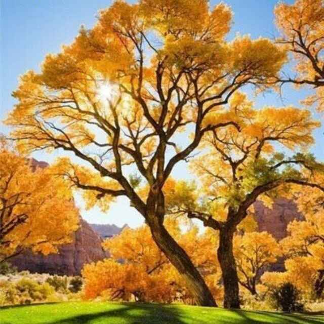 书友20161211095907