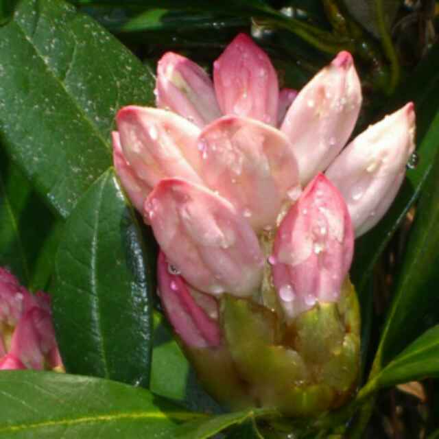 书友20160410120847