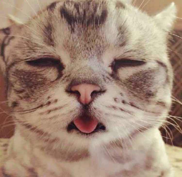 书友20160412215449