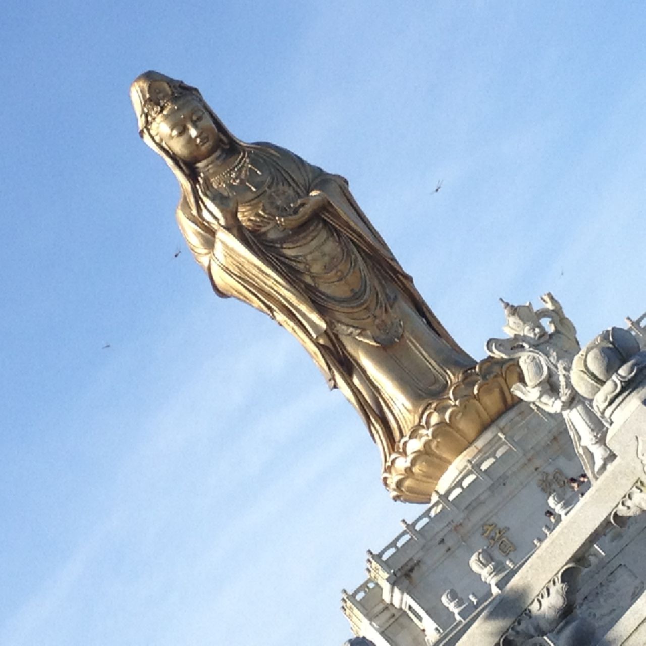 书友20160725153734