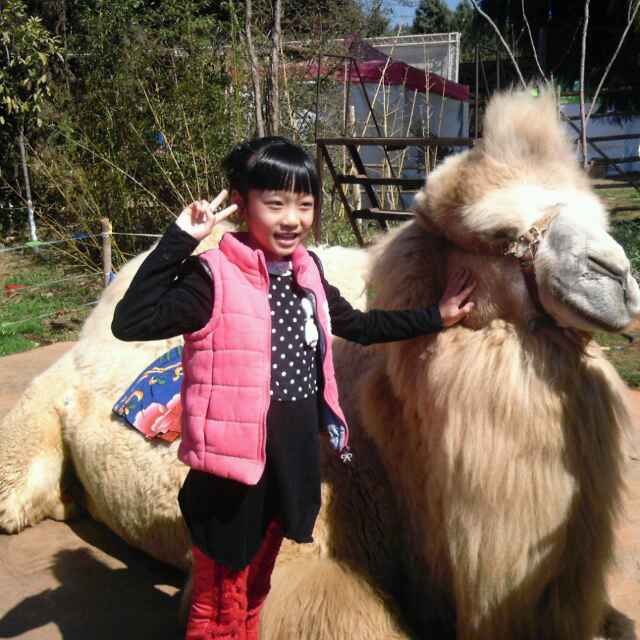 书友20160117145223