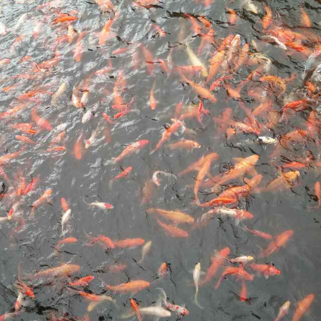 书友20161013054546