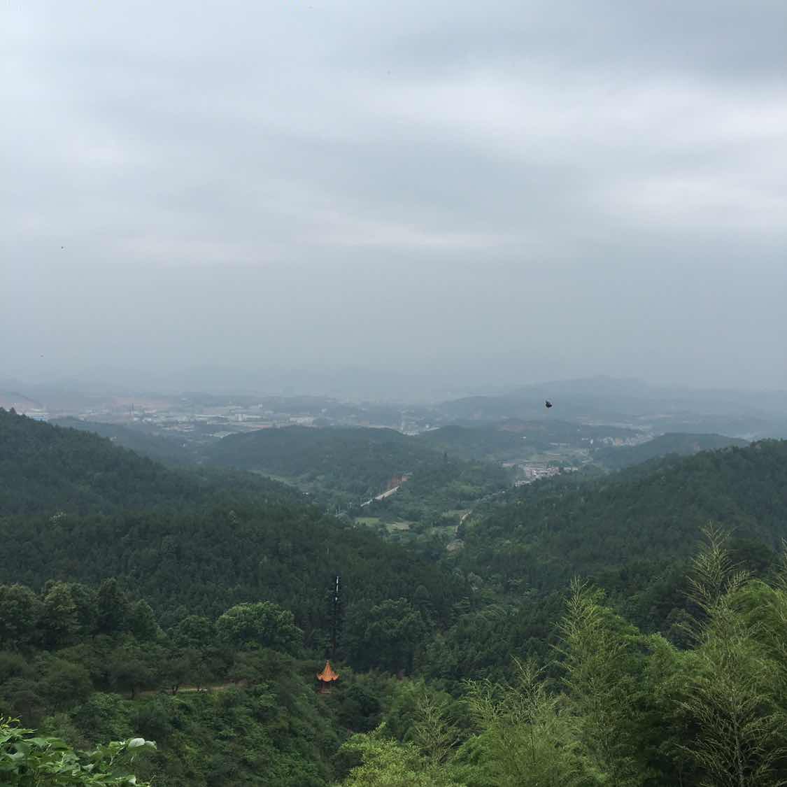 LidunGuan