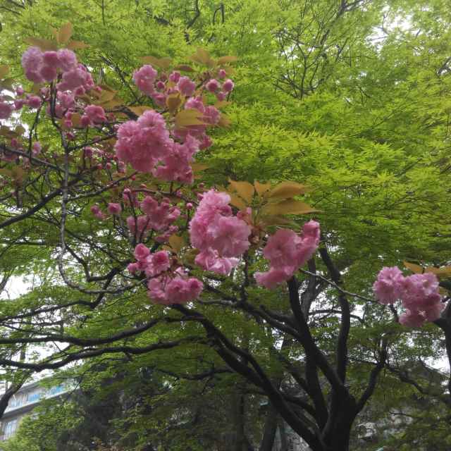 王建
