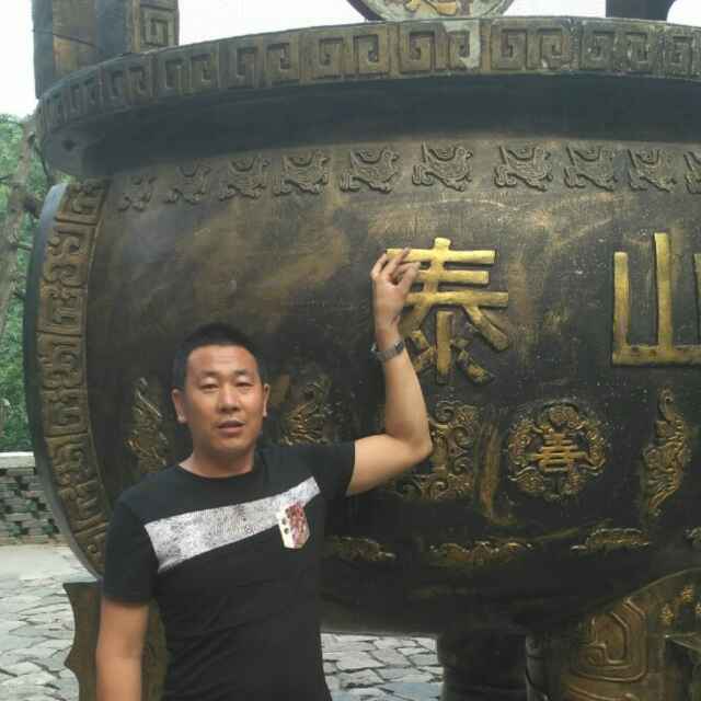 小海豚_31334182