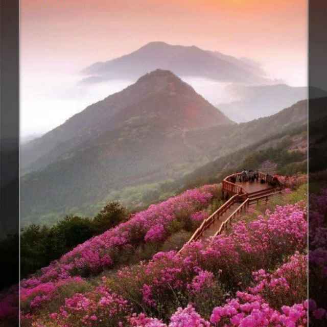 阳光明媚