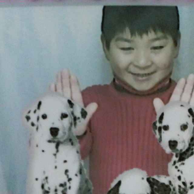 书吃