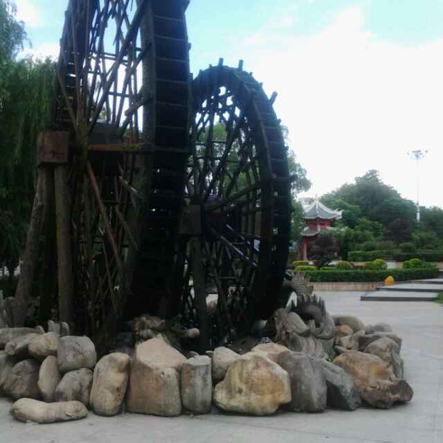 zhi