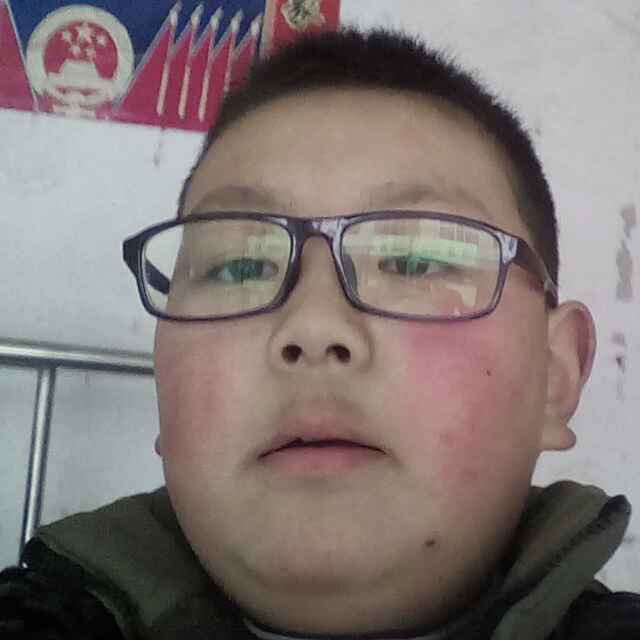 自由的冬瓜