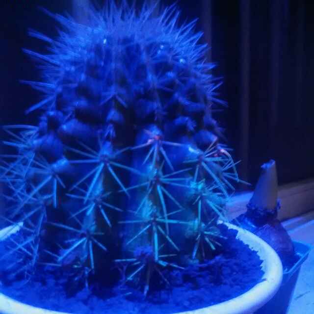 心想事成