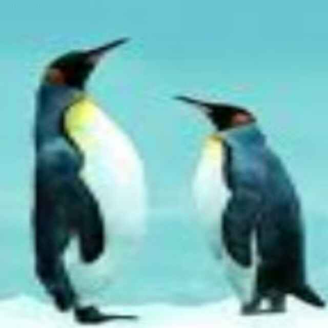 此心安处
