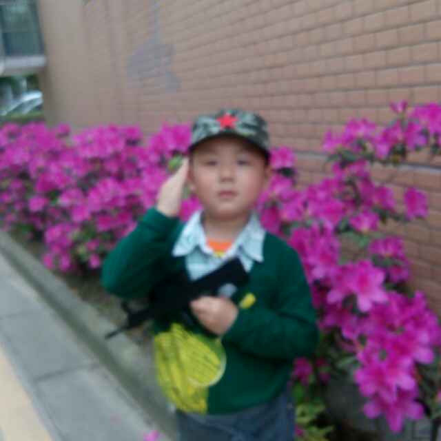 冬曰暖阳