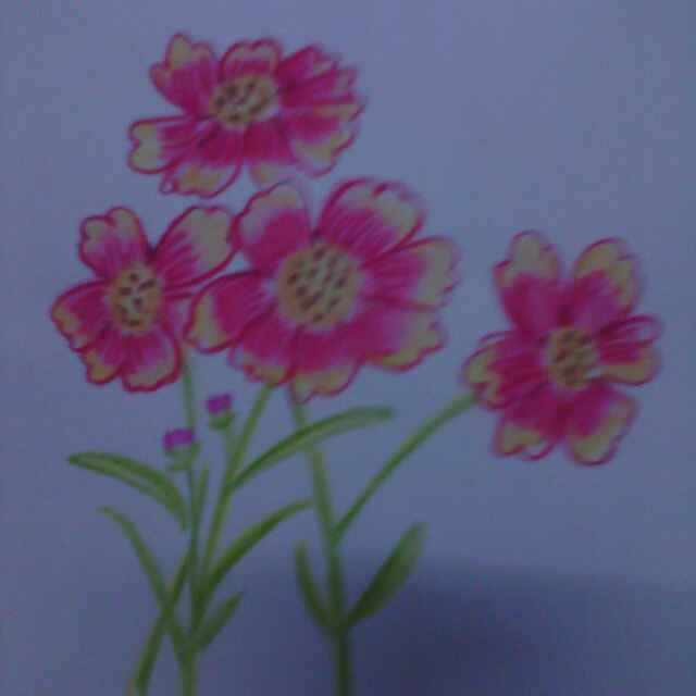 http://wx.qlogo.cn/mmopen/ksGaTjEQbgthf4wial8BtPKvv4VYlEOhgwSRzFY46iaKIWoxicVPdFwdpJ47NKTroCMXLbDGhADTqmjtQRVSC7TXoncEm0RCfzE/0