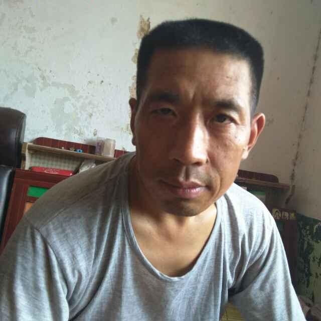 老马