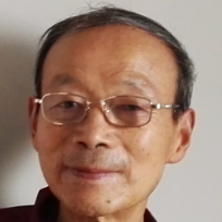 森林大地