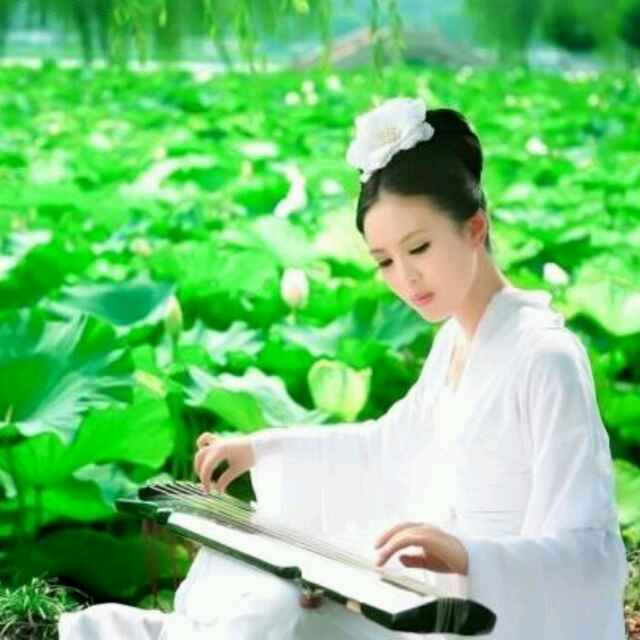 荷塘月色