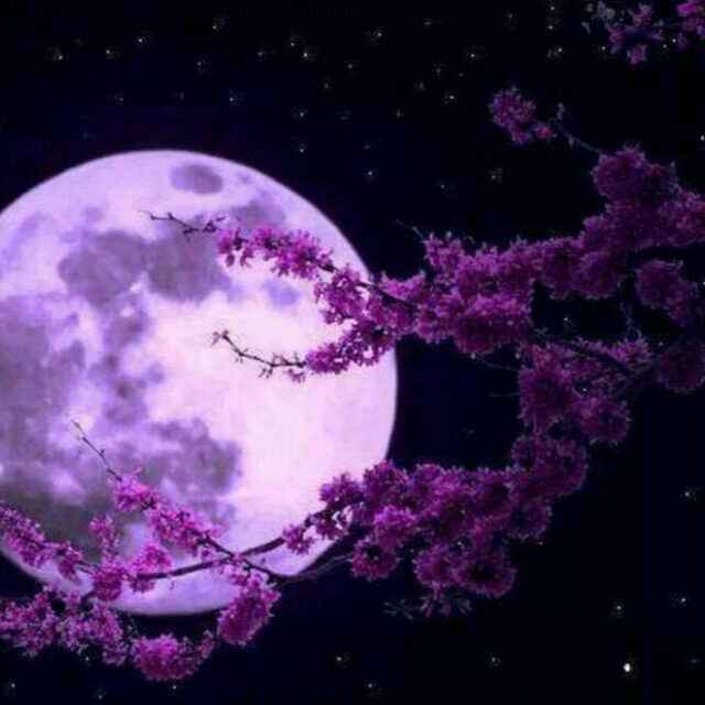 武