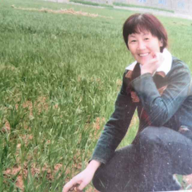 云地