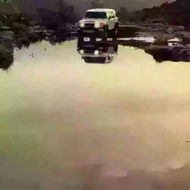 牛牛