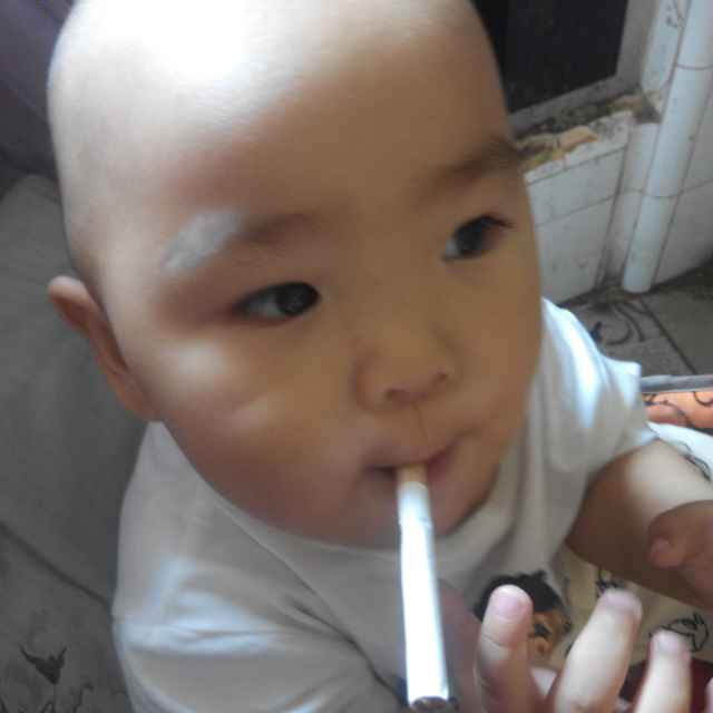 孤独雁