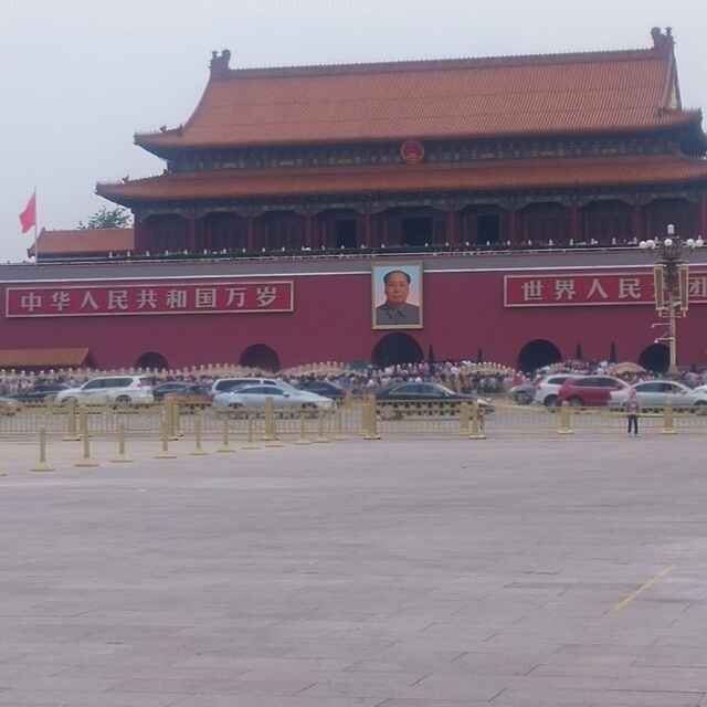 徐雪芹
