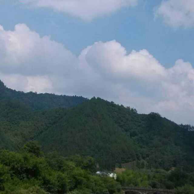 黄奇威  一帆风順
