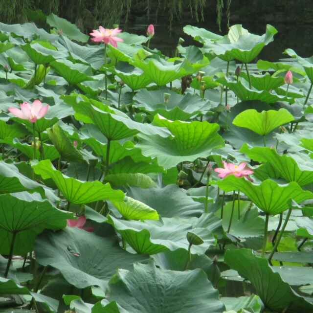 积极向上