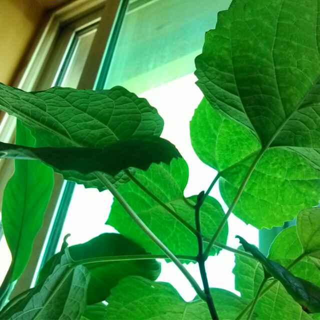 执着