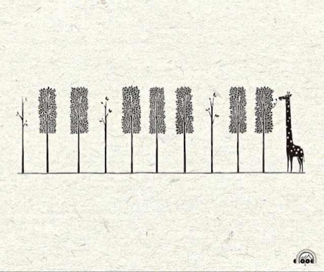 63