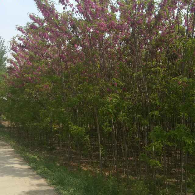 未燃尽的蜡烛