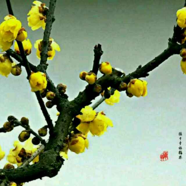马永祥