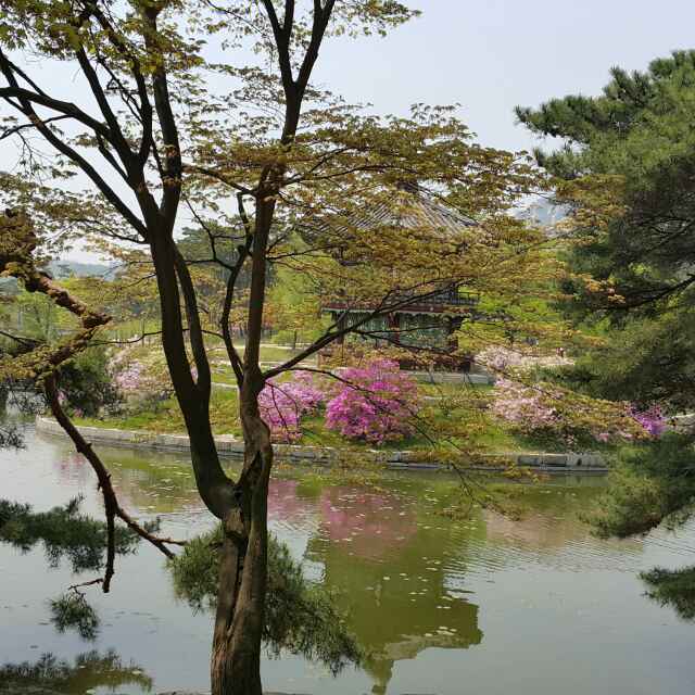 문 철 규