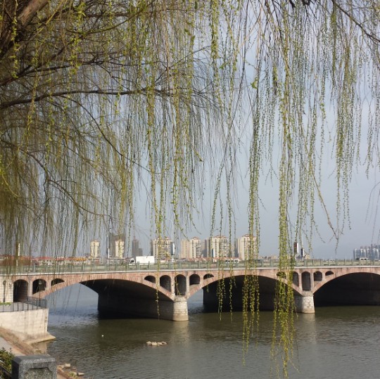 CHZH东