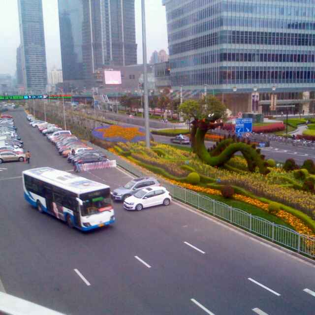 参天大树