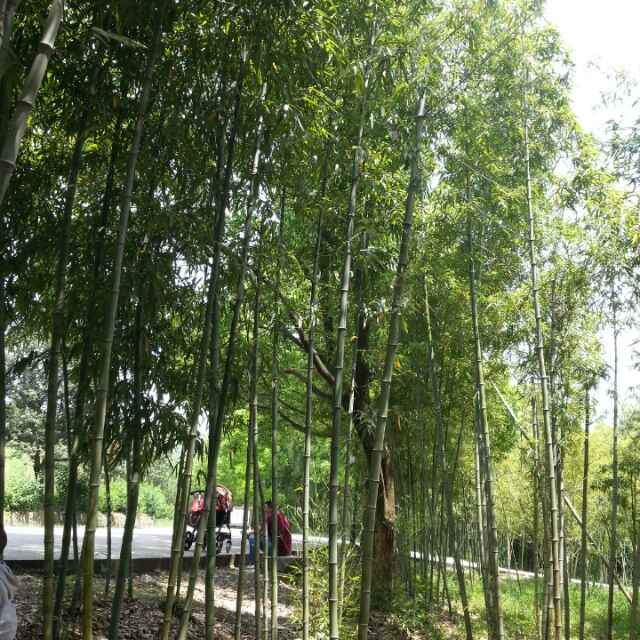 开心一百