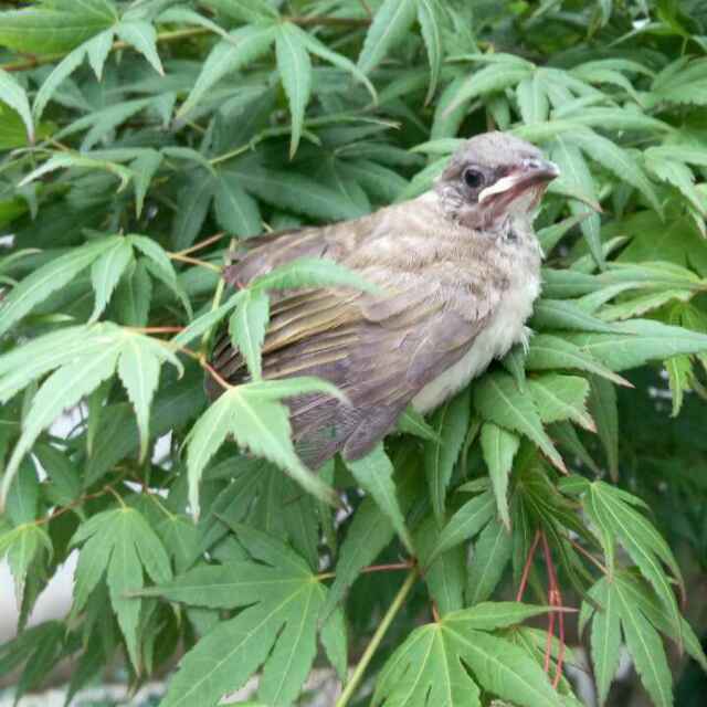 祝福