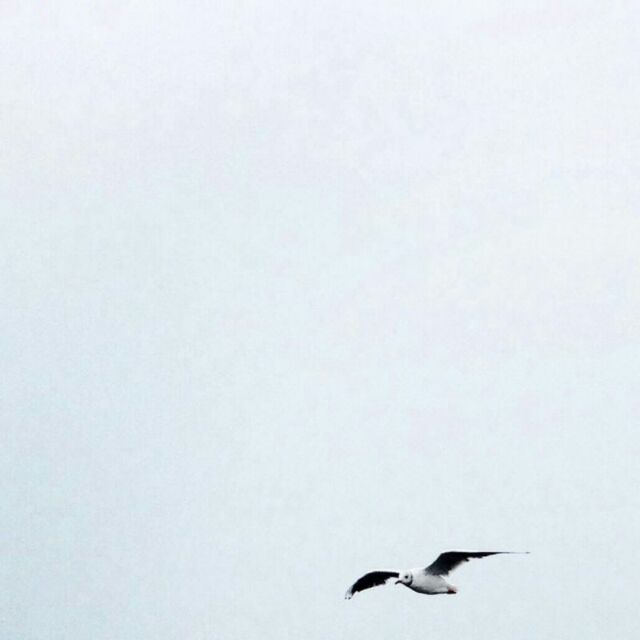 风居住的街道