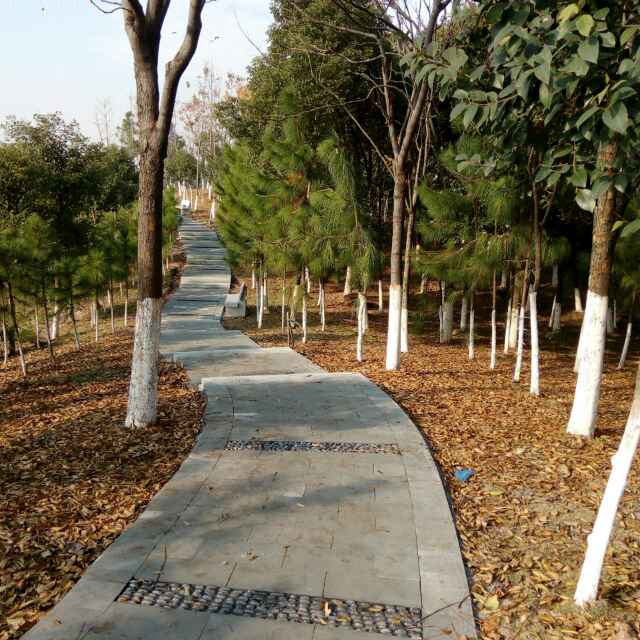 张向东
