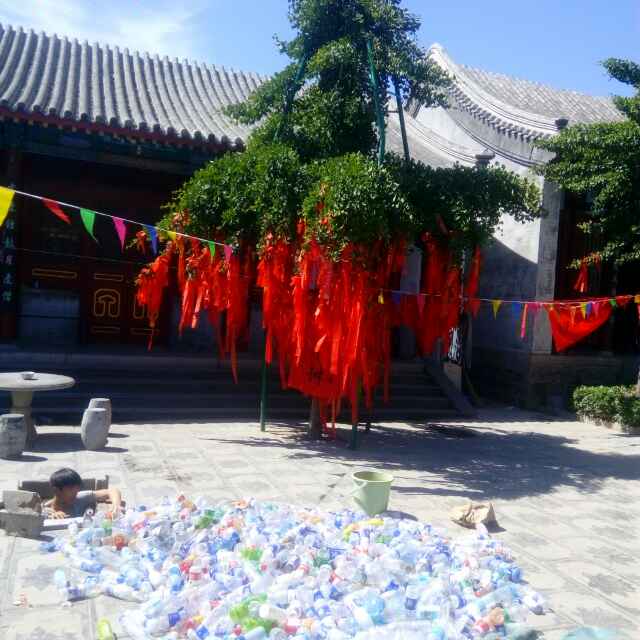 张海  成