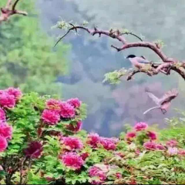 感悟