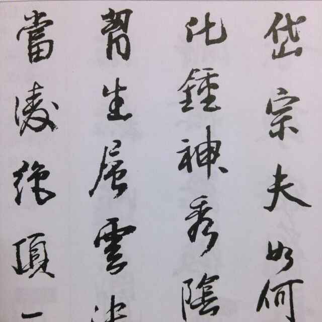 沈岱